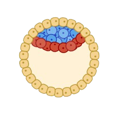 Untitled-removebg-preview