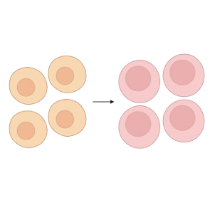 Untitled__1_-removebg-preview