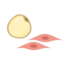 Untitled__2_-removebg-preview